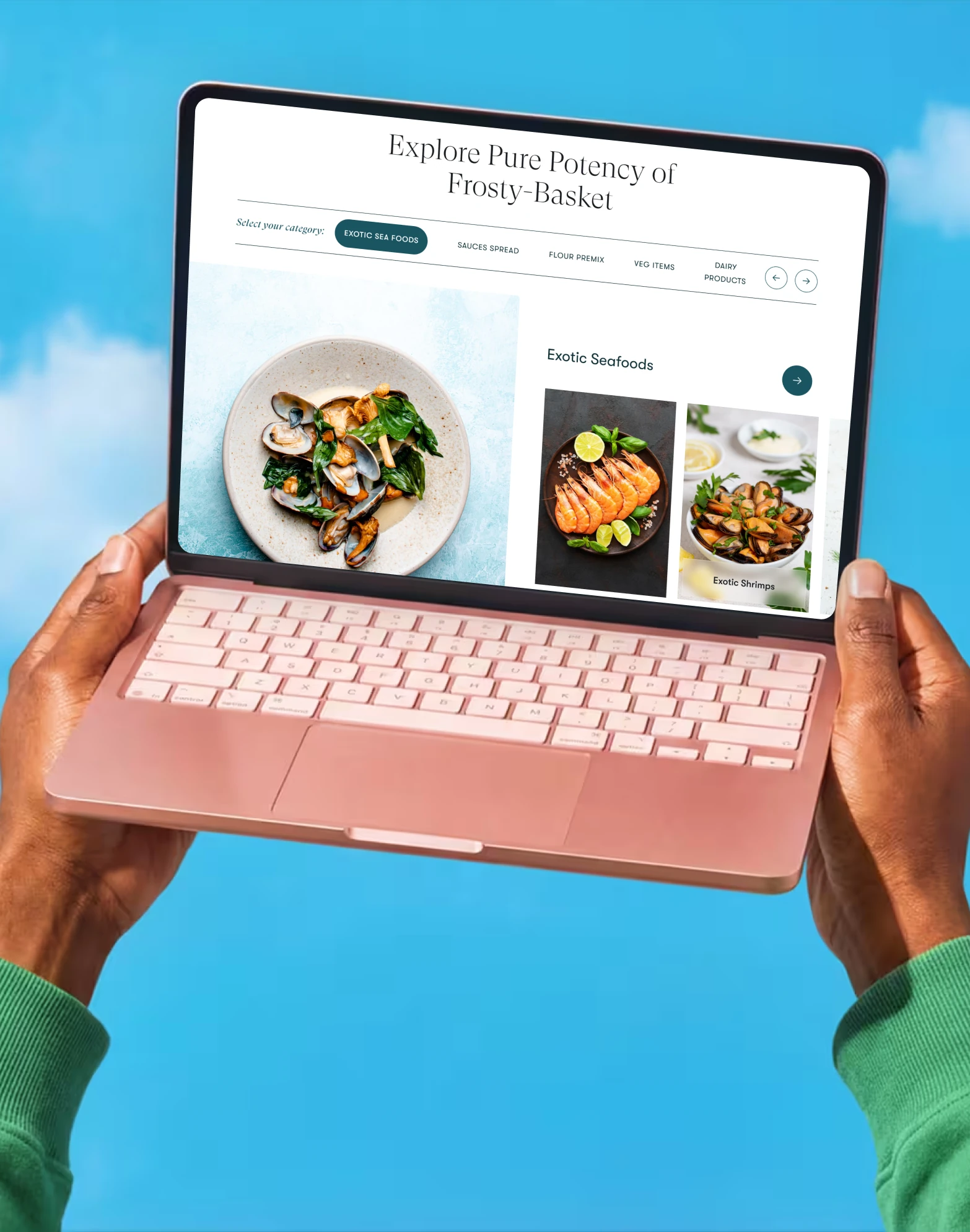 An e-commerce experience for Frosty Basket that makes shopping frozen and exotic foods feel premium.