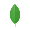 MongoDB